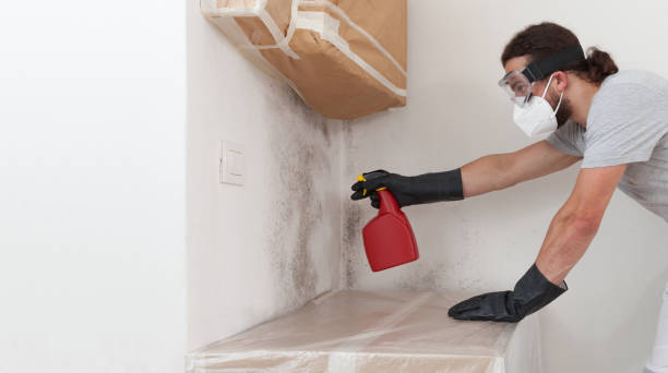 Professional Bathroom Mold Removal technician working in Wantagh, NY